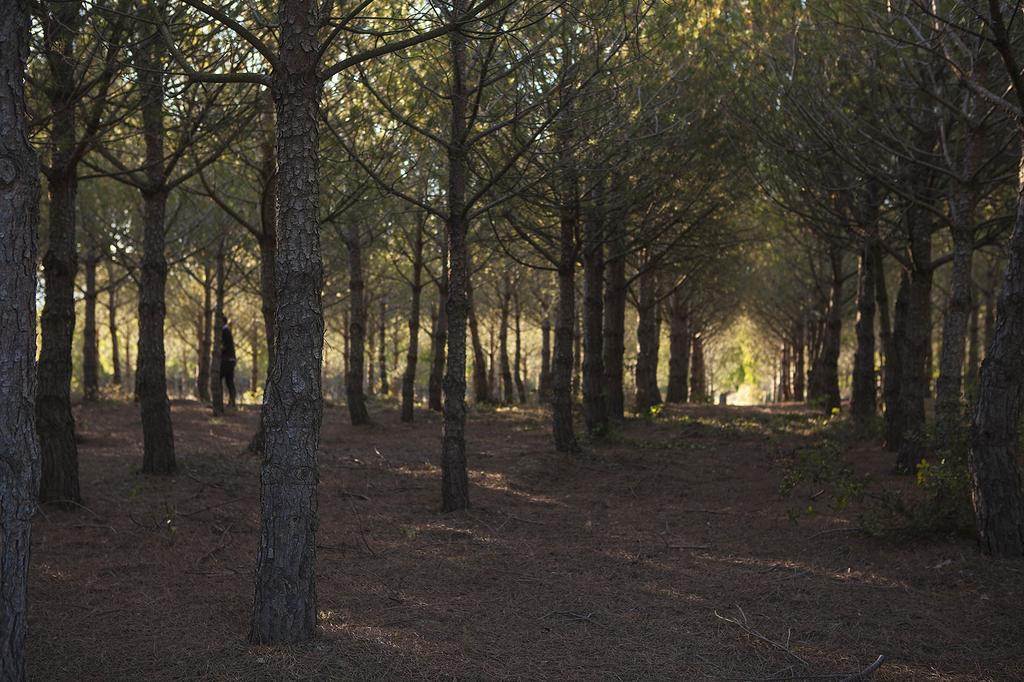 Chateau De La Motte - Entre Narbonne Et Le Canal Du Midi Marcorignan Екстер'єр фото